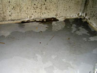 Floor Basement Seepage | Everdry Waterproofing Detroit